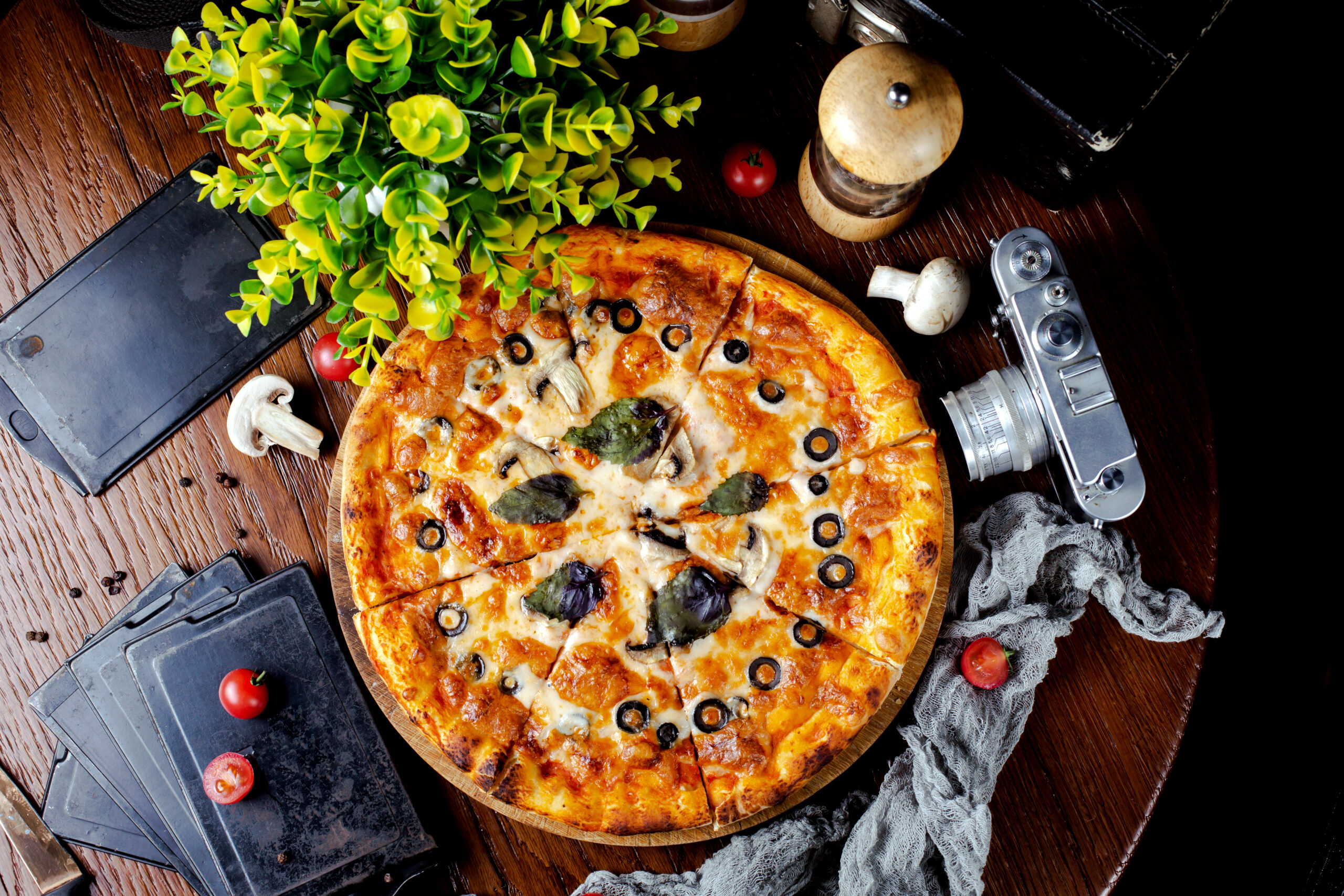 new haven pizza